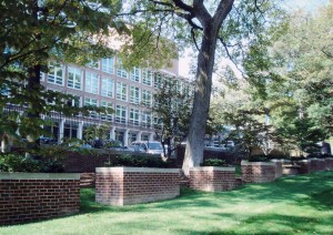 Modern strengthening of the fenestration and the site periphery has been considerately done.