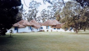 Several of the 1900 tukuls, carefully preserved, 1966.