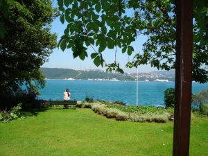 The site of the summer residence, 2005.