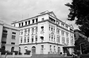 80 Strand Road, 1964.