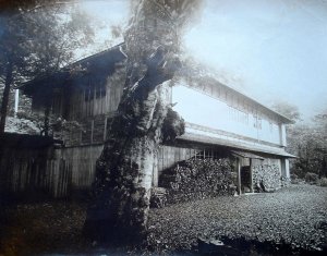 Lake frontage, viewed from north-west, 1934.