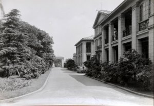 Looking south past garden side of offices  to residence entrance, 1933.