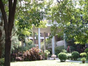 Looking into the offices court from residence garden, 2003.