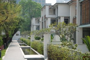New terrace looking south, 2009.
