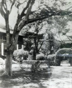 Compound grounds, with the assistant's house on the left, 1900s.