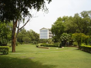 Flats block from the green lung, 2005.