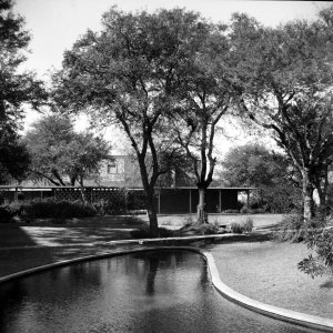 Bottom pool, with local staff block beyond, 1961.