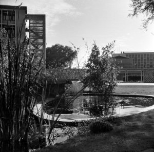 Head pool, with Dorset House behind, 1961.