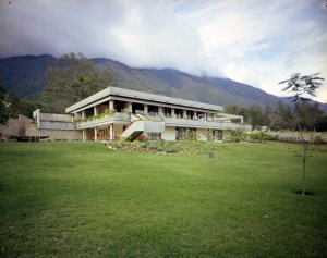 View from the garden, 1973.