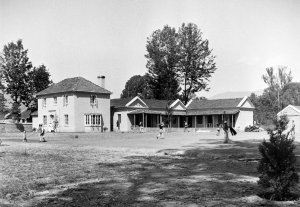 Junior staff house and the offices in the old Post Office, 1954.