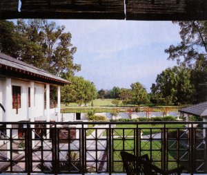 View to the golf course beyond the garden, 1989.