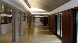 Central spine, 2008.