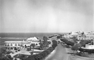 1951 photo of which buildings?